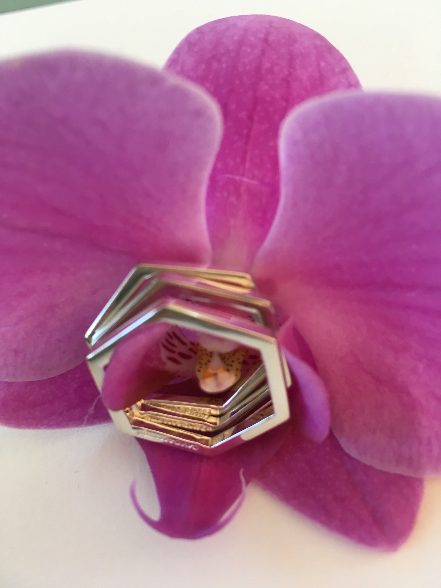 Cell Rings Trio in 925 silver